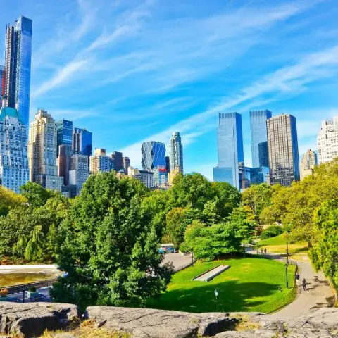 View of Central Park in a sunny day in New York City.