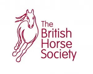 british horse society séjour linguistique équitation