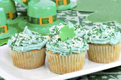 lec_sejour_linguistique_ado_irlande_may_day