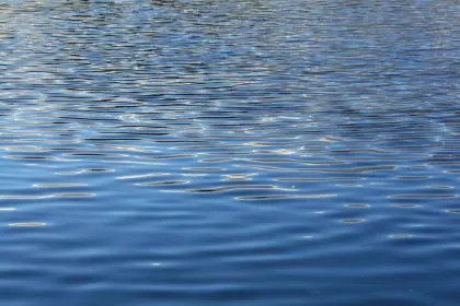 lec_voyage_linguistique_usa_grands_lacs