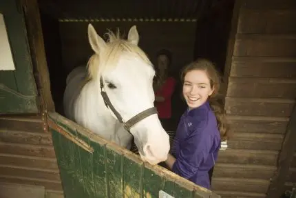 equitation activites loisirs